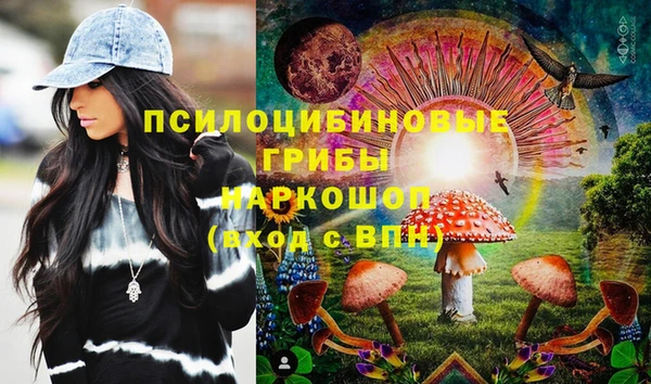 винт Богородицк